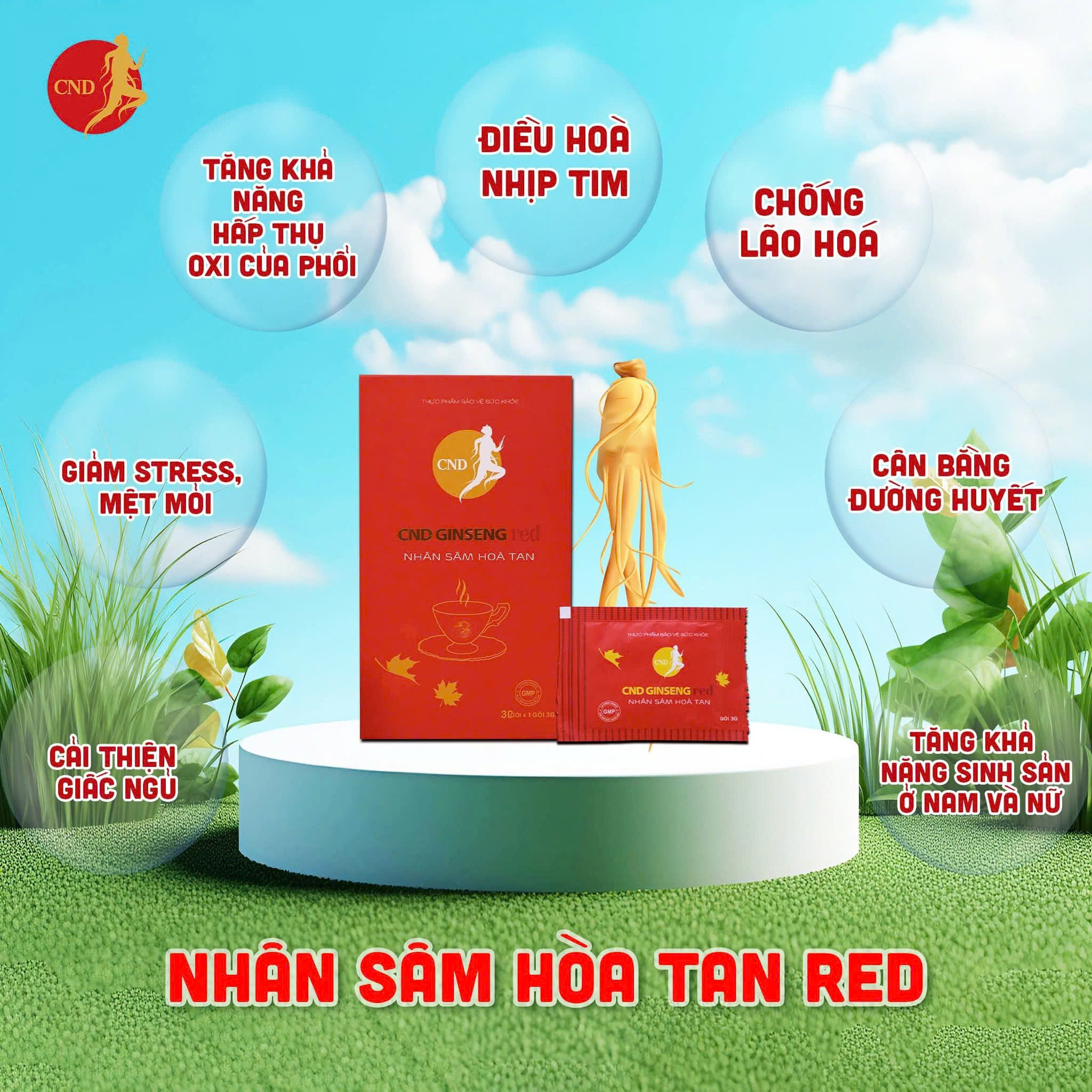 Nhân sâm hòa tan Ginsheng red