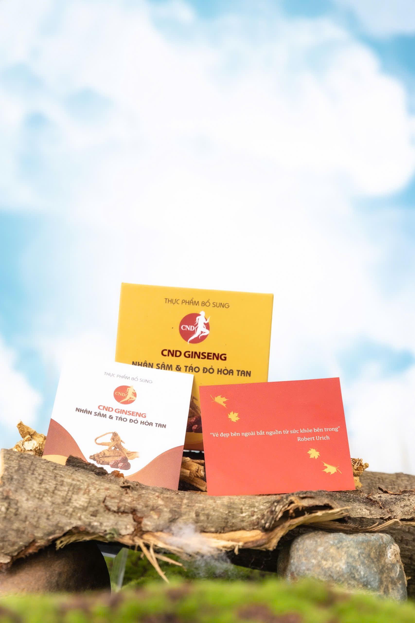 nhân sâm táo đỏ