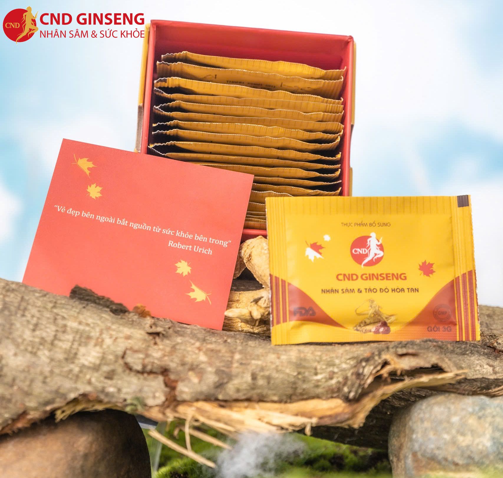 nhân sâm táo đỏ hòa tan cnd Ginsheng